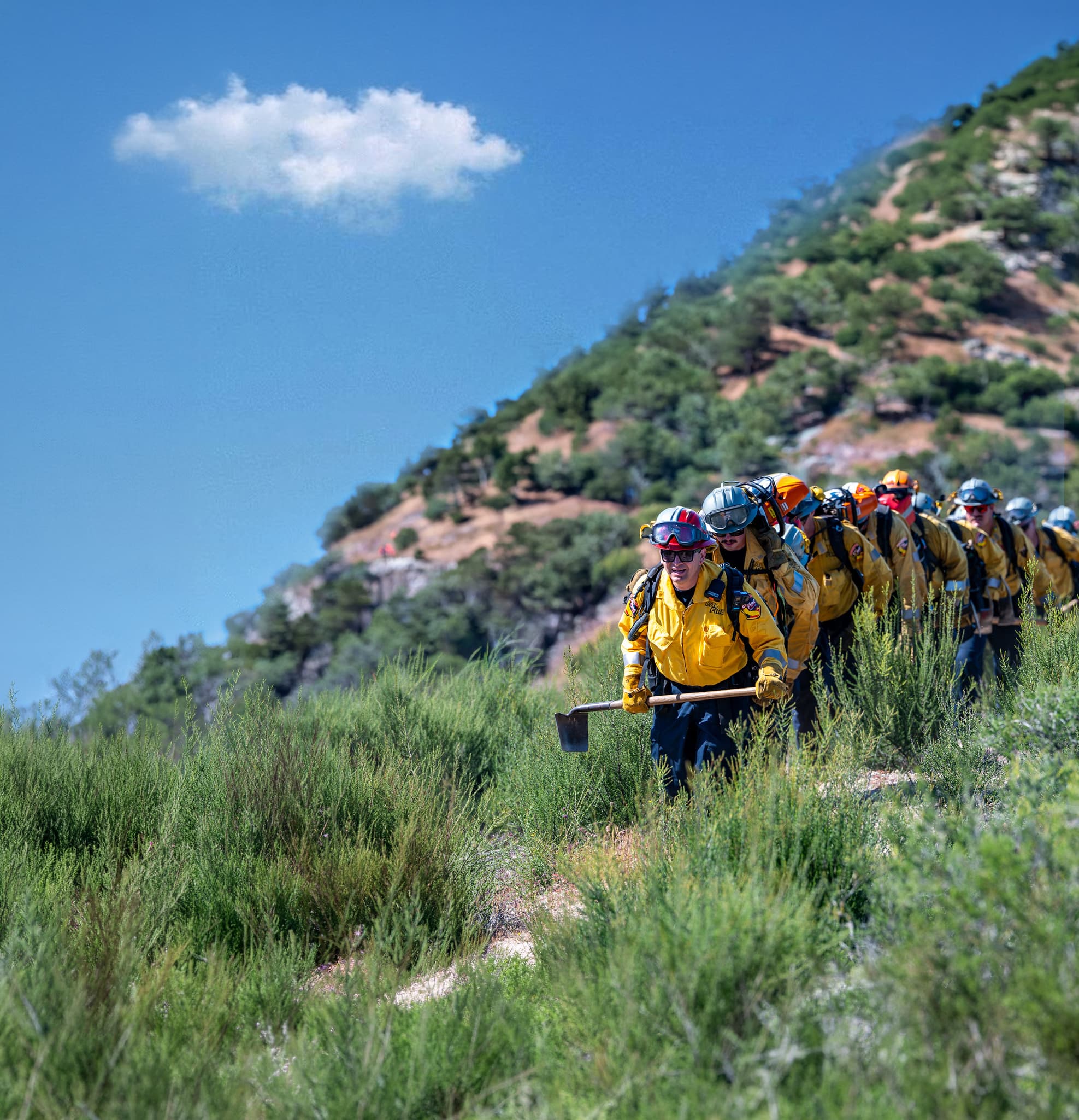 A wildland fire crew hiking up the hillside